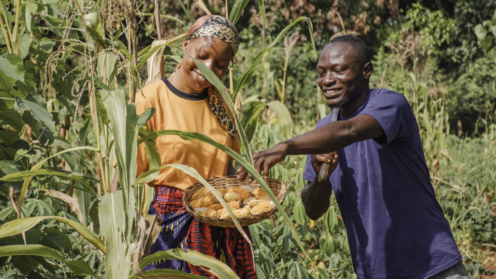 <p>Förderung der Ernährungssicherheit in Westafrika © freepik</p>