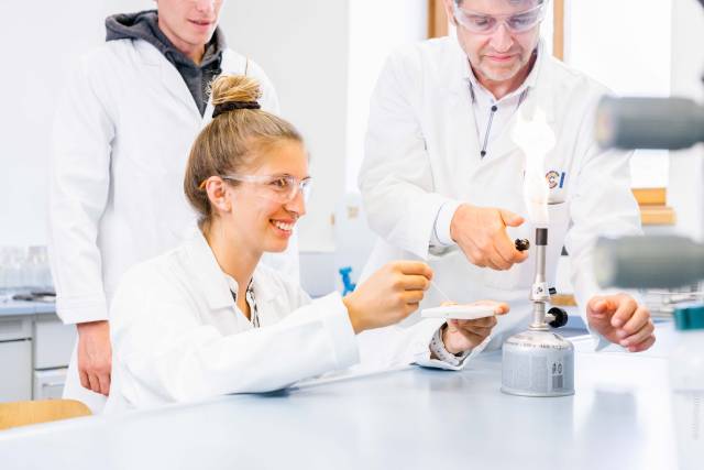 Which Degree for Renewable Energy?