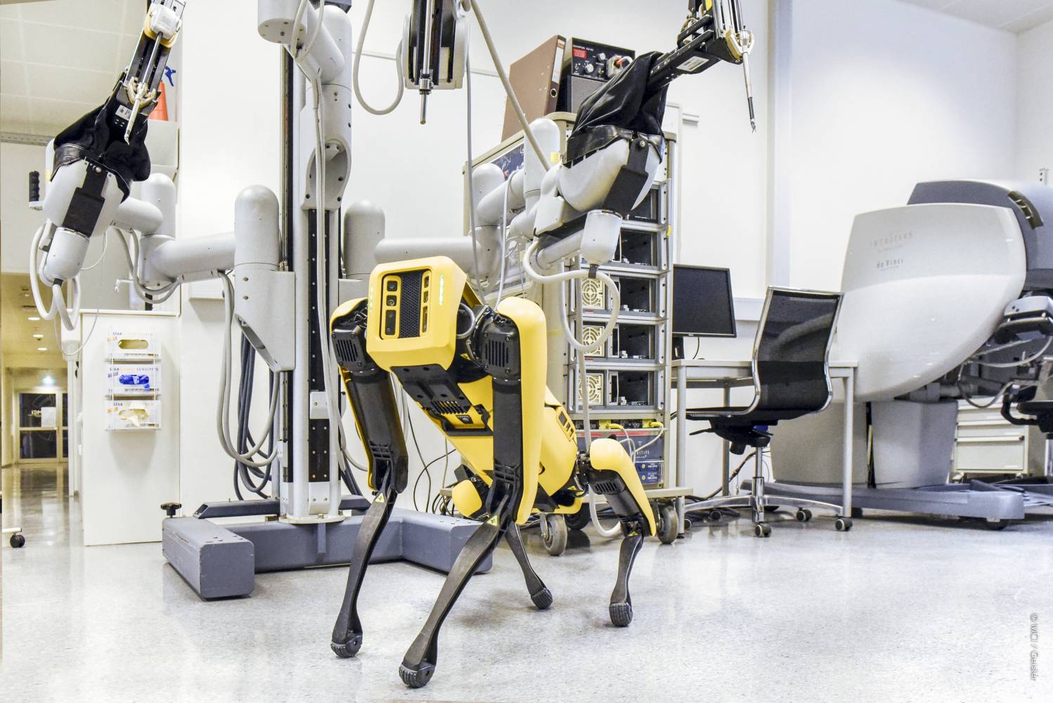 Der Bachelorstudiengang Medizin-, Gesundheits- & Sporttechnologie am MCI beschäftigt sich mit den neuesten Robotern.