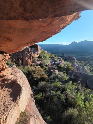 <p>Eindrücke aus dem Auslandssemester in Pretoria/Südafrika ©Eva-Maria Franke</p>