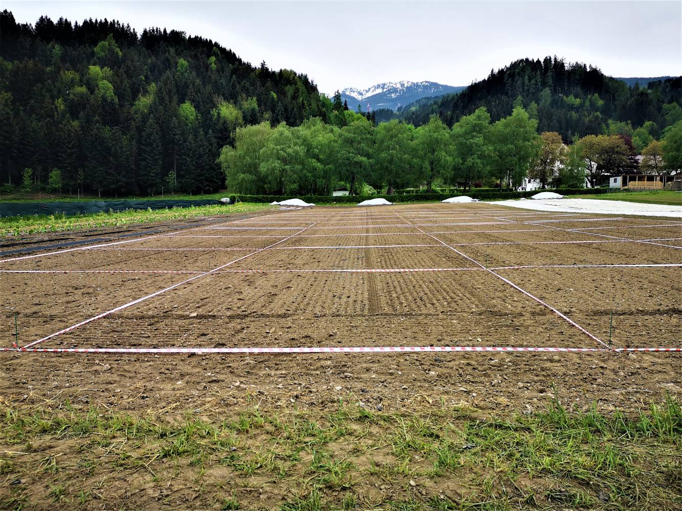 <p><em>Preparation of the field trial for the practical use of the compost. Foto: MCI-Hämmerle </em></p>