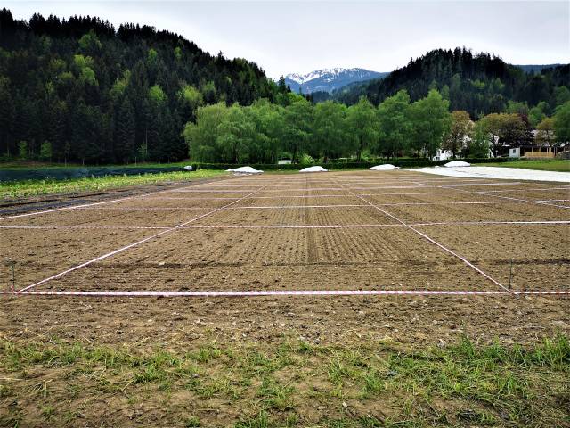 <p><em>Preparation of the field trial for the practical use of the compost. Foto: MCI-Hämmerle </em></p>