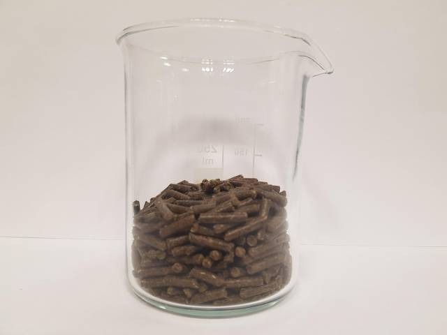 <p><em>Das Futter in pelletierter Form hat unter anderem den Vorteil selektivem Fressen vorzubeugen und Entmischung der Nährstoffe zu verhindern. Foto: MCI-Knöpfle</em></p>