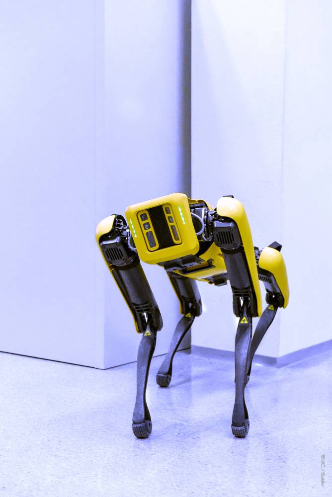 <p><em>SPOT Roboter. Foto: MCI.</em></p>