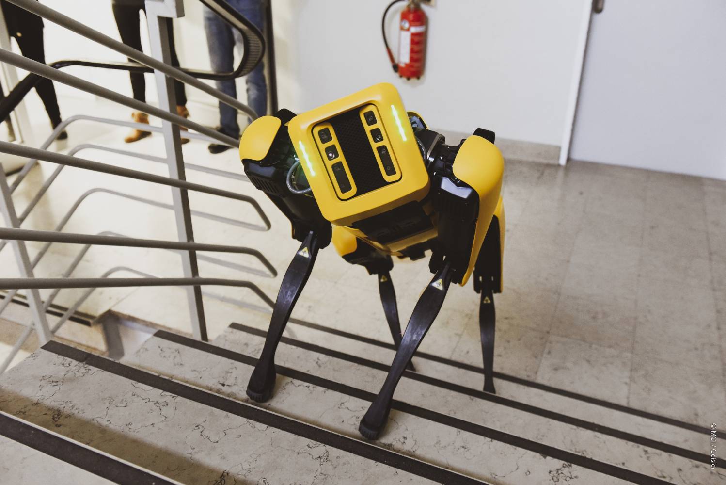 <p><em>SPOT Roboter. Foto: MCI.</em></p>