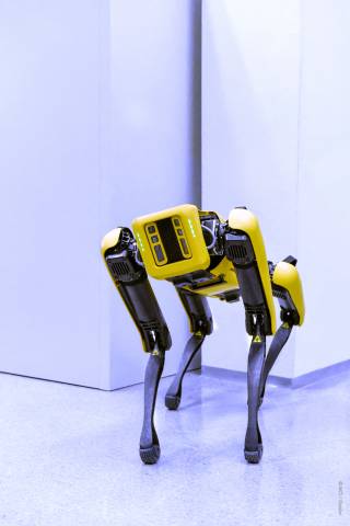<p><em>SPOT Roboter. Foto: MCI.</em></p>