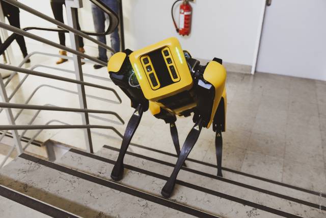 <p><em>SPOT Roboter. Foto: MCI.</em></p>