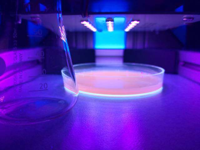 Haltbarmachung von Lebensmitteln durch UV-Licht