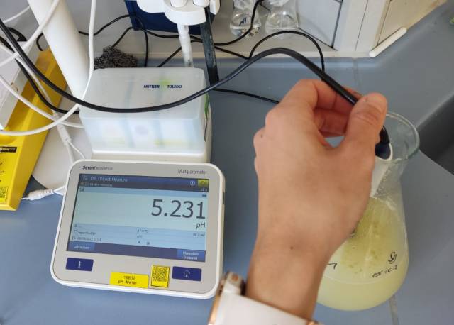 <p><em>Messung des pH-Wertes während der Fermentation von Presssaft ©MCI/Knöpfle</em></p>