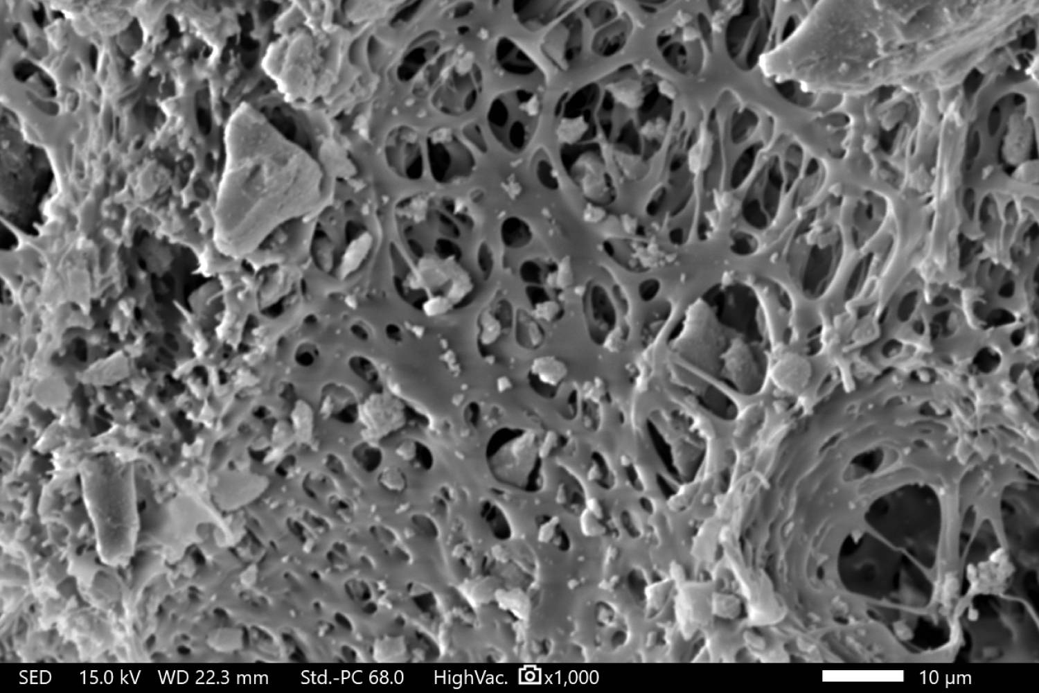 <p><em>Membranstruktur mit Aktivkohle; 1000fache Vergrößerung © MCI</em></p>