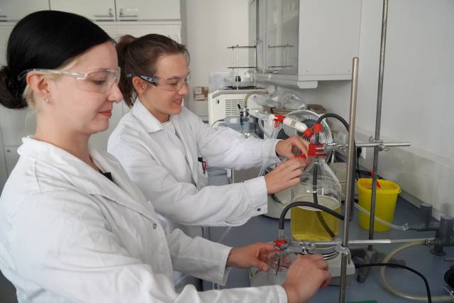 Biosynthese von Wasserstoff aus Biomasse mittels dunkler Fermentation