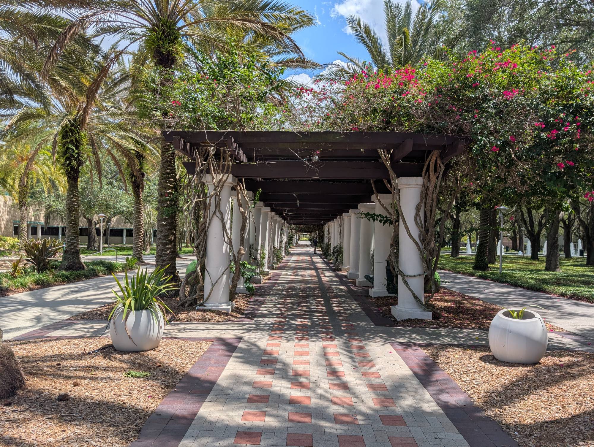 <p>Im Zuge der NAFSA wurden Partneruniversitäten in Florida besucht. ©Graber</p>