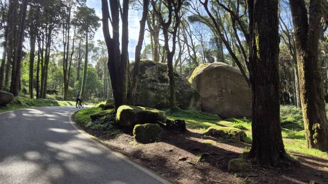 <p>The forests of Sintra are definitely worth a visit © Wechselberger</p>