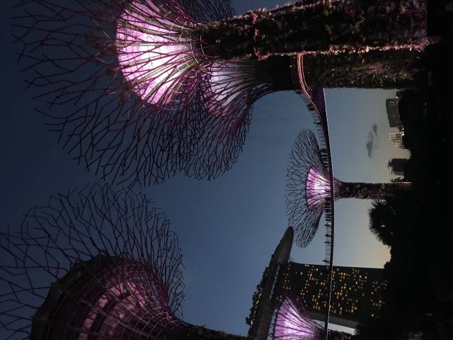<p><em>Gardens by the bay Singapore. Photo: Sumesgutner<br /></em></p>