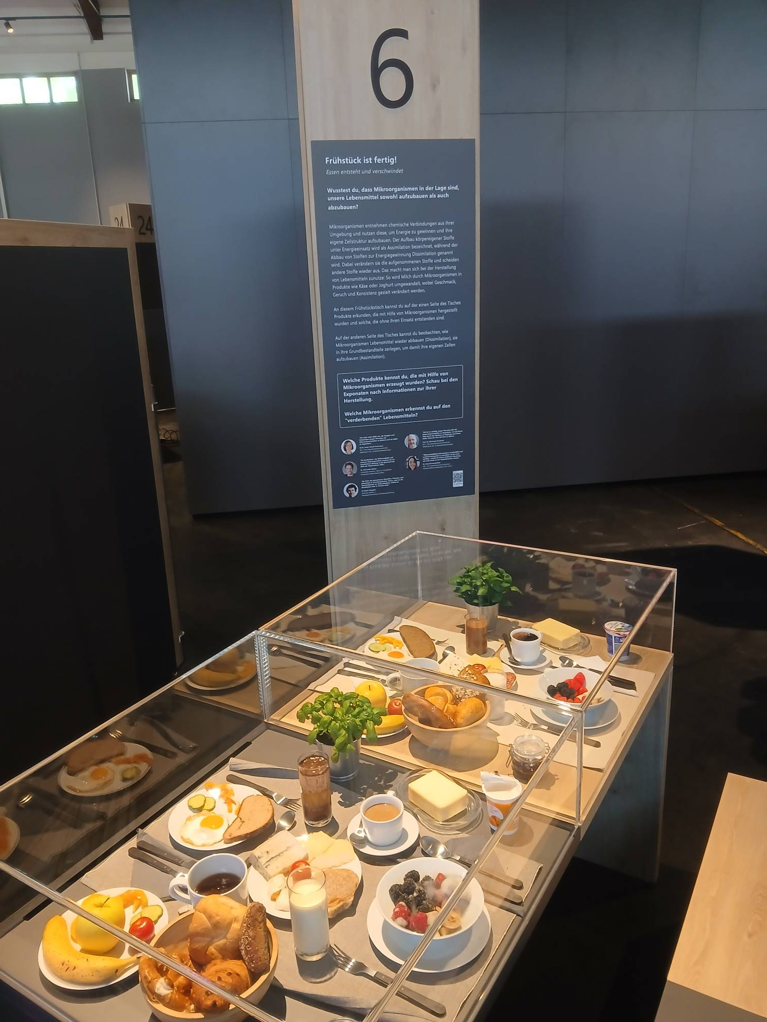<p>Breakfast table with foods that are often produced and subsequently broken down with the help of microorganisms, thereby keeping nutrients in circulation. ©MCI/Sonja Hirschl-Neuhauser</p>
