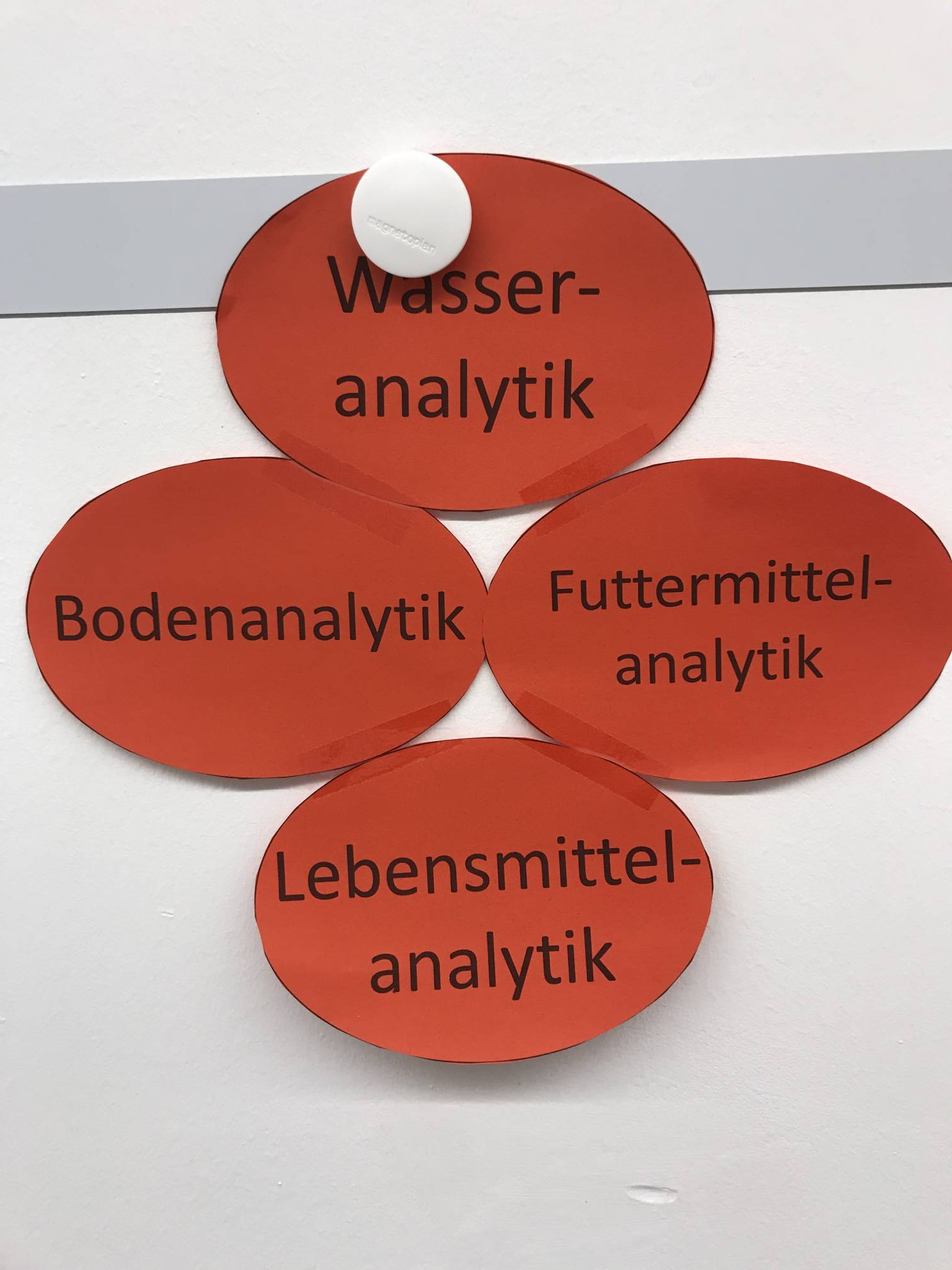 <p>Vorkenntnisse, die den Studienstart erleichtern ©MCI/Katrin Bach</p>