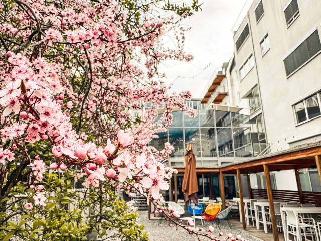 Semesterpost Frühjahr 25