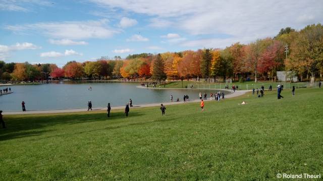 <p>Park Mont Royal in Montréal</p>