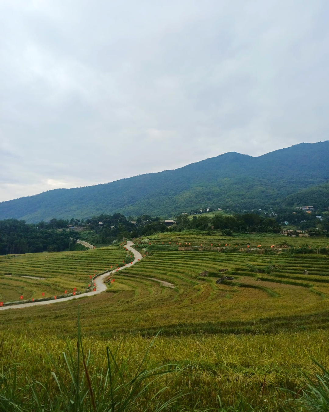 <p>Landschaftsaufnahme ©Fletschinger/Just</p>