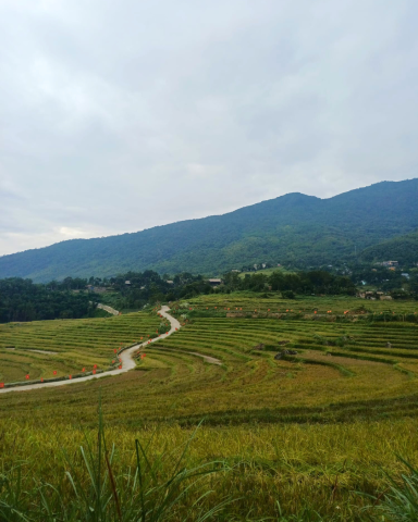 <p>Landschaftsaufnahme ©Fletschinger/Just</p>