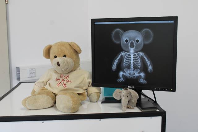 Ein Hightech-Herz für Teddys