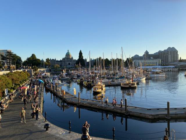 <p>Citiy life in Victoria, BC (Canada) ©Lili Anna Pellizzari</p>