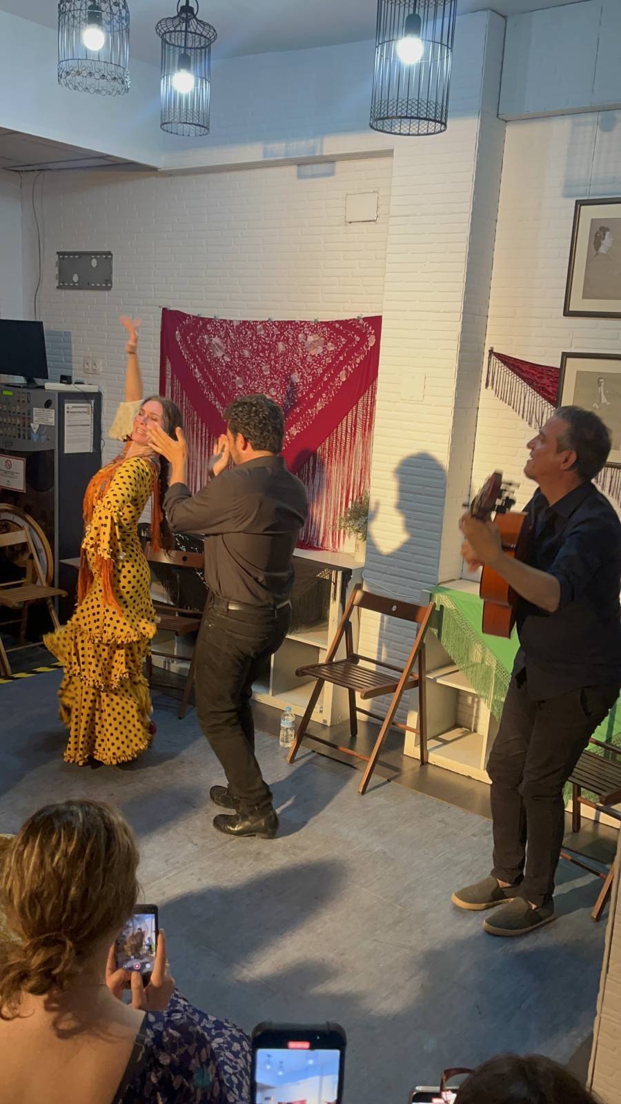 <p>Der Besuch einer authentischen Flamenco-Show gehörte ebenfalls zum Programm ©Annalena Eckhardt</p>