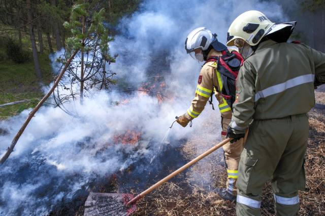 <p>Training for forest firefighting at the Tyrolean Fire Brigade Association. Photo: Tyrol Regional Fire Brigade Association / A. Wegscheider</p>