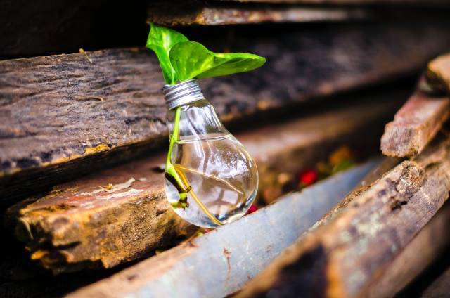 <p>Im Bereich Lichttechnik etwa können im Haushalt mehrere energieeffiziente Maßnahmen gesetzt werden – von der Wahl langlebiger Leuchtmittel über Dimmfunktionen bis zu bewusster Beleuchtungsdauer. © Pexels</p>