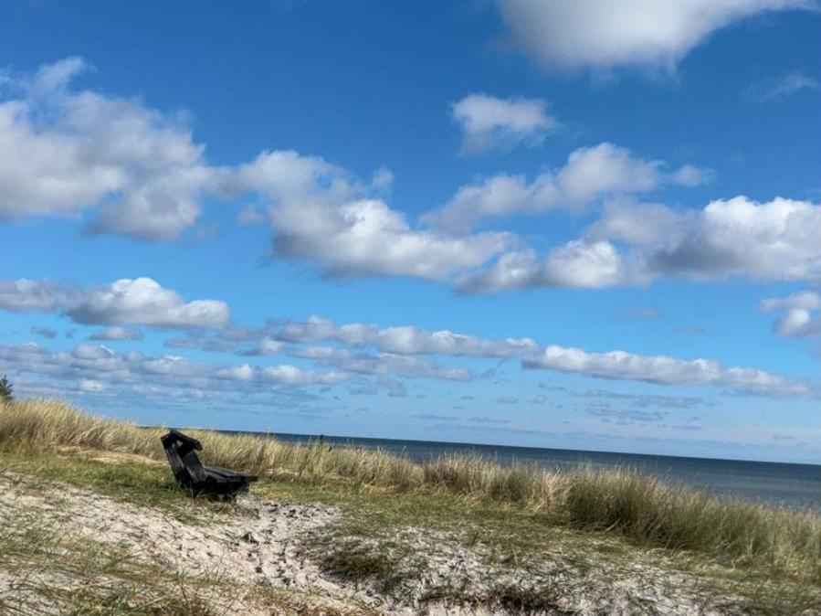 <p>Eindrücke aus dem Auslandssemester in Aalborg © Stella Follner</p>