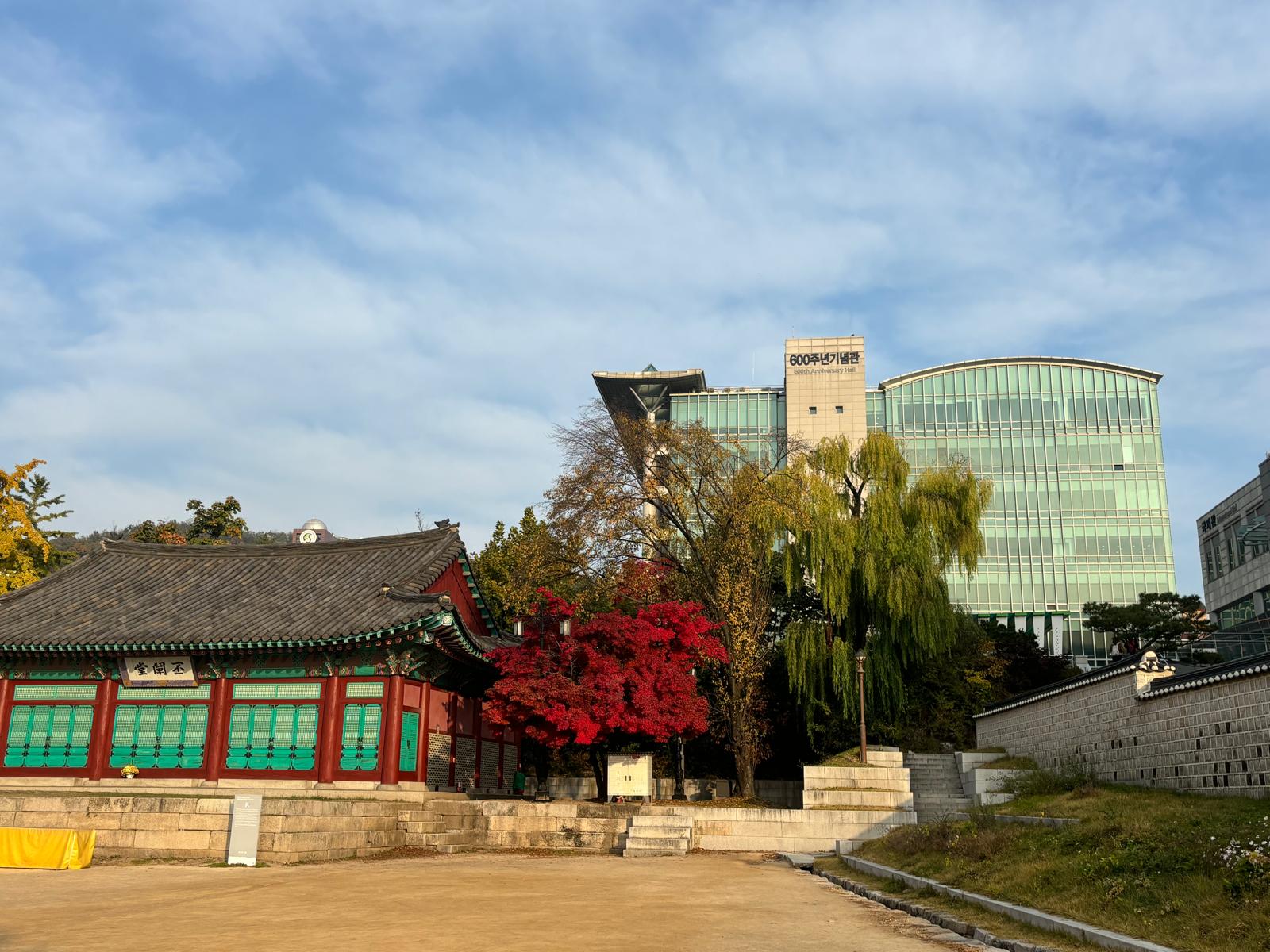 <p>Eindrücke aus dem Auslandssemester in Seoul ©Joé Heinen</p>
