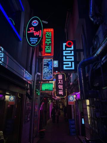 <p>Eindrücke aus dem Auslandssemester in Seoul ©Joé Heinen</p>