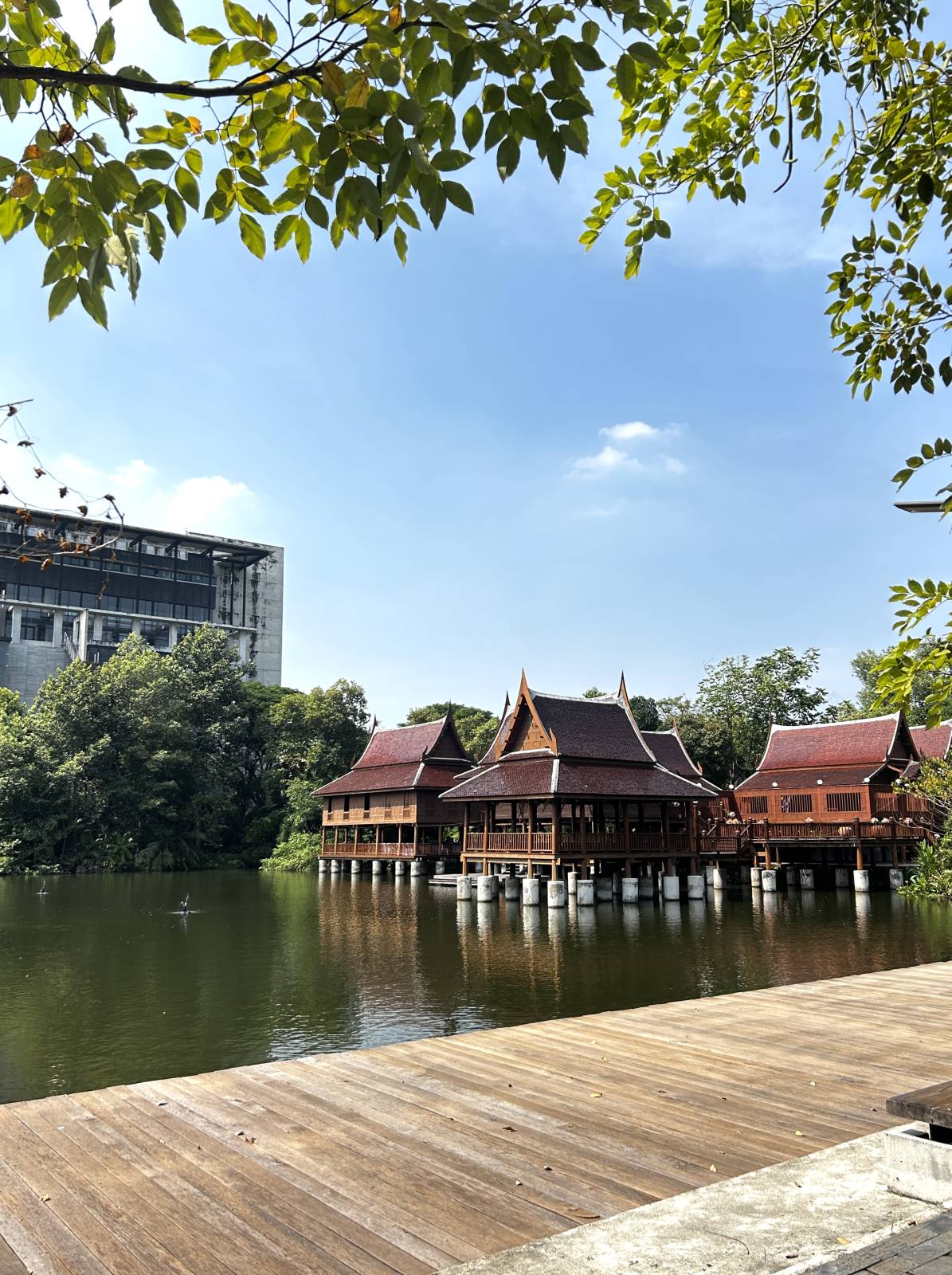 <p>Die grüne Oase des Mahidol-Campus – perfekt, um zwischen den Vorlesungen zur Ruhe zu kommen © Taferner</p>