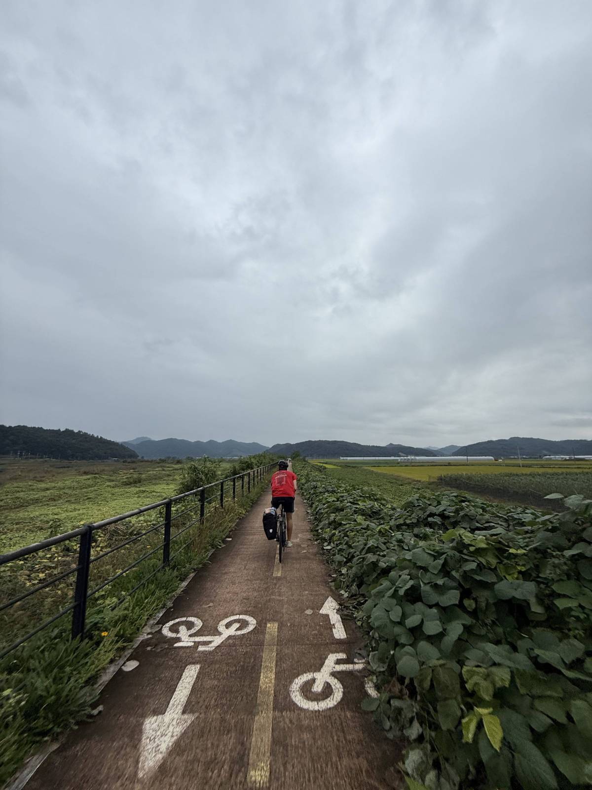 <p>Bike Tour. ©MCI/Emma Knodel</p>