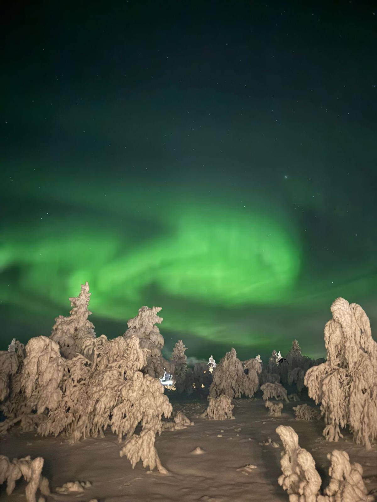 <p>Northern Lights ©MCI/Ott</p>