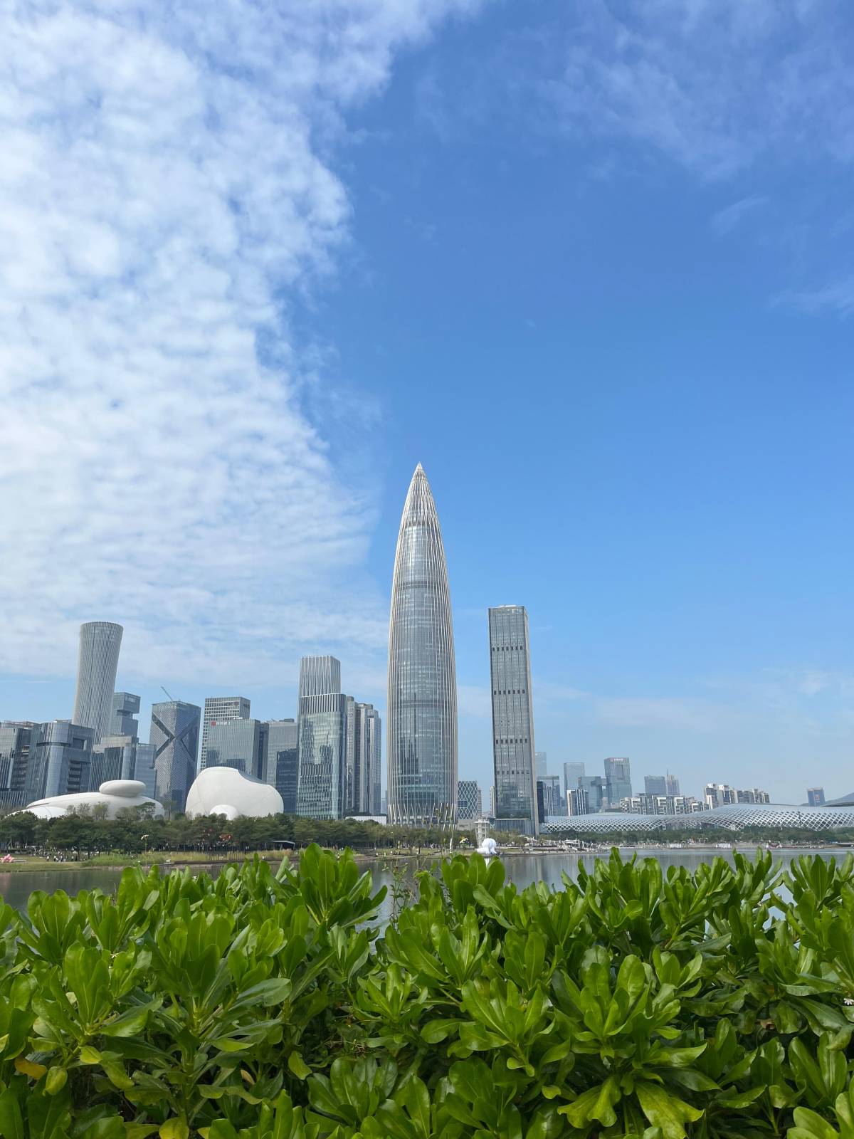 <p>Bay Area Park ©MCI/ Schennach</p>