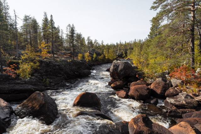 <p>Herbst in Lappland <span style=