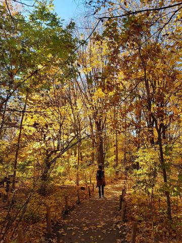 <p>Walking through the Botanical Garden of Montréal and enjoying nature in the middle of the city. © Monica Nadegger</p>