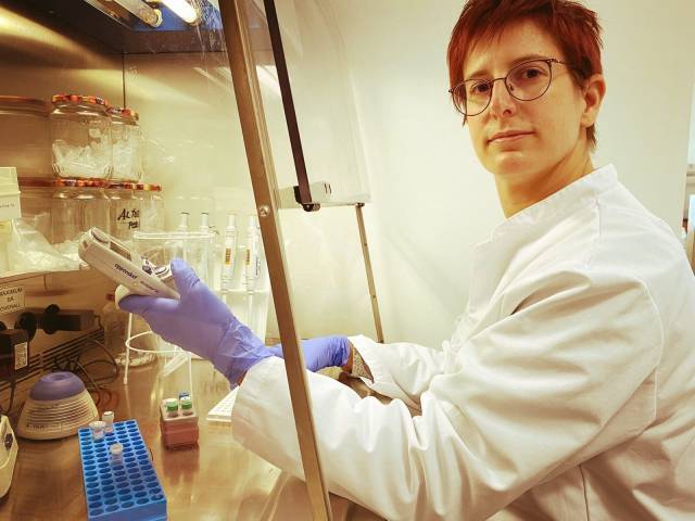 Wie funktioniert ein PCR Test?