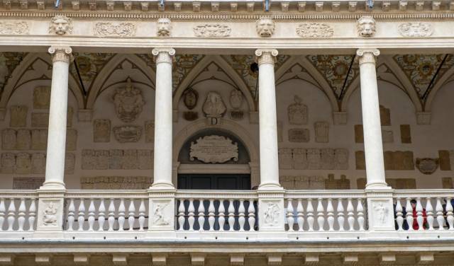 <p>©Università degli studi di Padova</p>