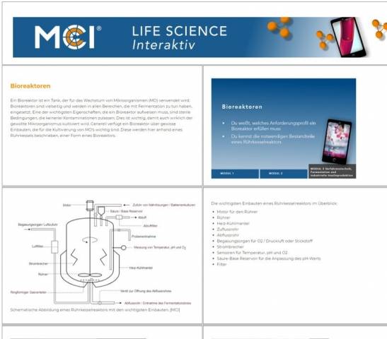 <p><em>Anschauliche Grafiken und Texte sind in den Modulen zu finden. Foto: MCI </em></p>