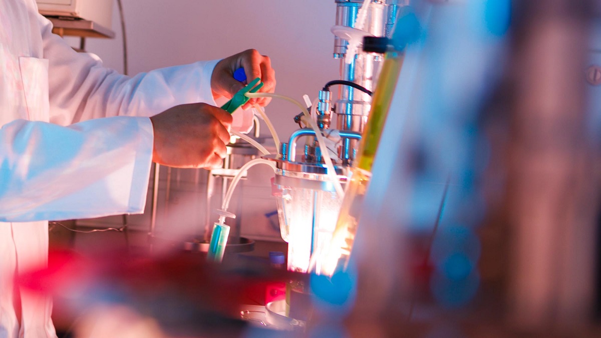 Food Science & Biotechnology