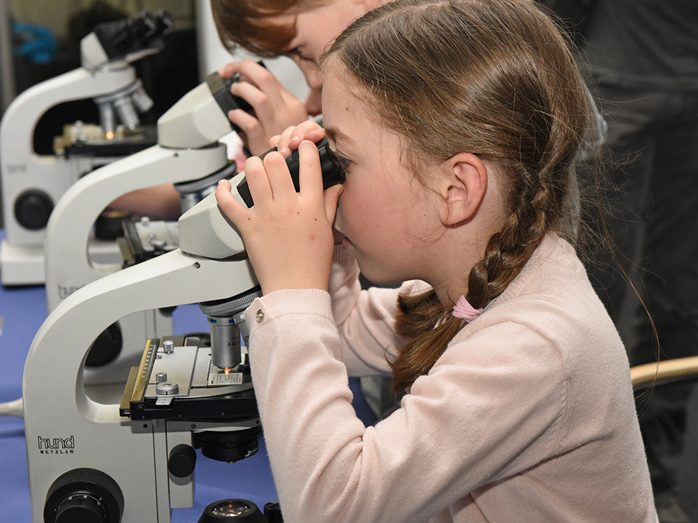 15 abwechslungsreiche Stationen luden die kleinen und großen Besucher/innen der Langen Nacht der Forschung ein, Wissenschaft hautnahe zu erleben.