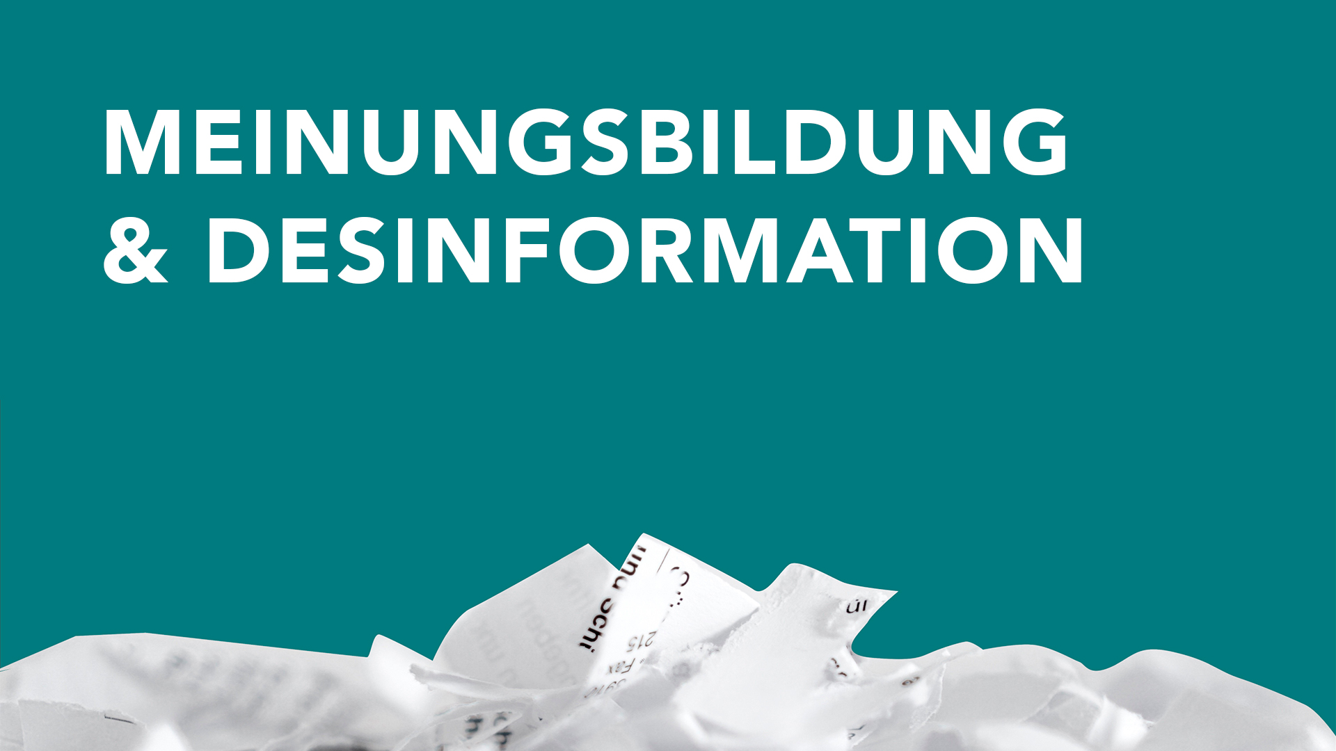 Meinungsbildung & Desinformation