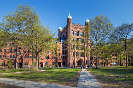 From Innsbruck to Yale: A unique academic year abroad